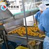 Equipo automático para la producción de conservas de manzana silvestre, conjunto completo de equipos para la línea de procesamiento de conservas de melocotón amarillo.