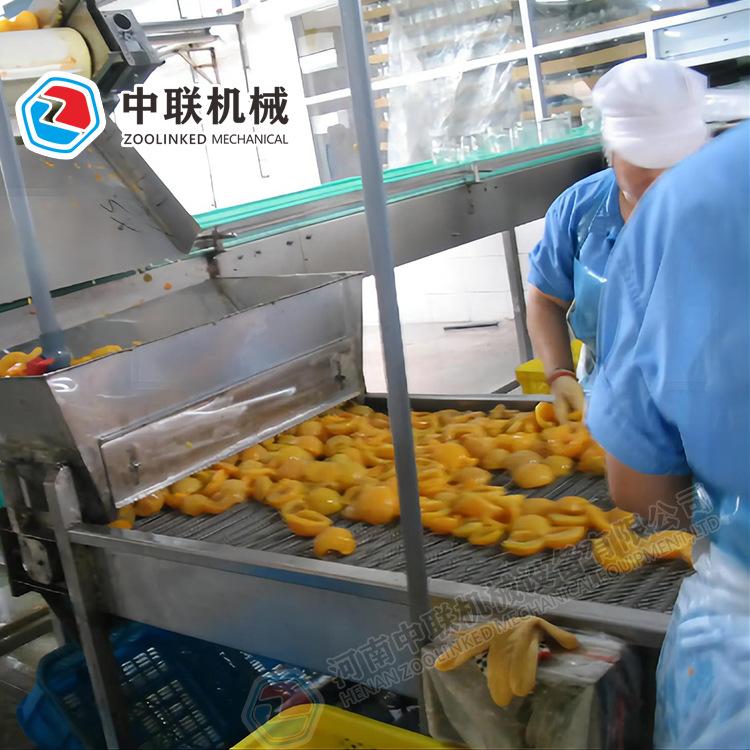 水果罐头生产设备31.jpg