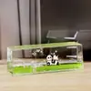 Botella a la deriva creativa brillante Reloj de arena mediterráneo Gota de aceite Adorno de decoración de escritorio para el hogar Regalo de cumpleaños para niños