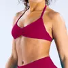 Sujetador deportivo de yoga sin costuras de nailon mate de alta elasticidad con cuello halter para mujer, ropa interior deportiva de espalda hermosa para mujer, sujetador deportivo exterior