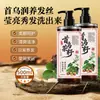 Shampoo de Grande Capacidade com Ervas de Polygonum Multiflorum e Semente de Chá, Nutritivo e Suave para os Cabelos, Shampoo Volumizador e Refrescante 500ml
