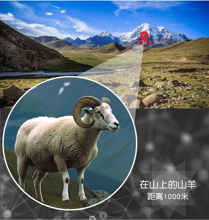 X99422-1保罗双筒望远镜详情设计20230718zha