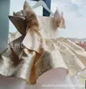 Vestido de Lujo para Bebé Niña de un Año, Vestido de Princesa para Cumpleaños de Niña, Vestido Rosa de Dama de Honor, Anfitrión de Desfile de Moda, Nicho y Elegante