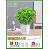 Planta en Maceta Flor de Milán, Planta de Interior con Flores y Capullos, Planta Verde Repelente de Mosquitos, Bonsái de Tocón Viejo, Planta de Floración Cuatro Estaciones, Fragante y Fácil de Cuidar
