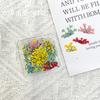 Nuevo pequeño flor seca romántico floral joyería de uñas pétalos hada estilo pastoral flor mixta decoración de uñas diy
