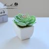 Suculenta Pequeño Bonsái Cerámica Muebles para el Hogar Decoración Fabricante de Jinhua Plantas Verdes Aliexpress Flor Artificial Plantas en Maceta