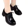 Zapatos de tacón grueso para mujer 2026 suela blanda otoño nuevo versátiles con cordones punta redonda tacón grueso moda estilo británico zapatos de madre