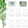 Clip de Fijación para Enredadera Rosa Verde Accesorio para Pared de Escalada de Plantas Almacenamiento de Línea Clip Autoadhesivo para Pared de Escalada de Crecimiento de Plantas