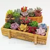 Decoración de madera retro para suculentas, rectangular para el hogar, combinación de plantas suculentas envejecidas, maceta de madera