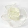 Hilo Cola de Pescado Cinta Flor Ramo Materiales de Embalaje Caja de Regalo Cinta Decorativa Hilo Flotante Accesorios Hechos a Mano