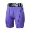 Shorts Esportivos Longos Apertados Masculinos, Secagem Rápida, Respirável, Elástico, Absorvente de Suor, Anti-Exposição, Verão, Atacado de Fábrica Transfronteiriço