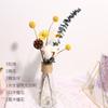 Ramo de flores secas de Yunnan con hojas de eucalipto inmortales, estilo nórdico, adornos decorativos para el hogar y la sala de estar, accesorios de tiro DIY.