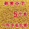 Novo Painço Amarelo com Casca, Painço Pele de Tigre, Painço Peônia, Painço para Calopsita, Alimento para Papagaios de Porte Pequeno e Médio, Sementes para Pássaros, Produtos Agrícolas para Papagaios