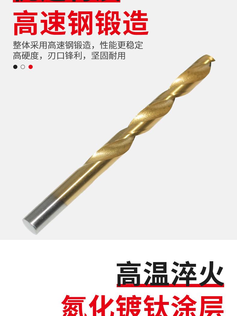 230pcs镀钛麻花钻_03