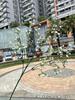 Nuevo Blanco Gympani Comercio Exterior 5 Ramas Milán Gympani Flores de Mano Decoración de Boda Coreana Flores Artificiales al por Mayor