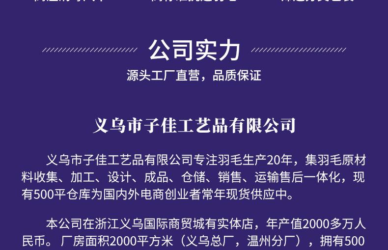 鸵鸟毛布条8-10_21