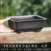 Maceta Rectangular Pequeña de Resina para Uso Doméstico, Cerámica de Imitación Arena Púrpura, Adecuada para Plantas Verdes, Bonsái de Árbol de Banyan, Venta al por Mayor