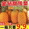 Piña Diamante Dorado 5kg Fruta tropical fresca de temporada seleccionada madurada en árbol, no piña, piña de Yunnan deshebrada a mano, caja completa