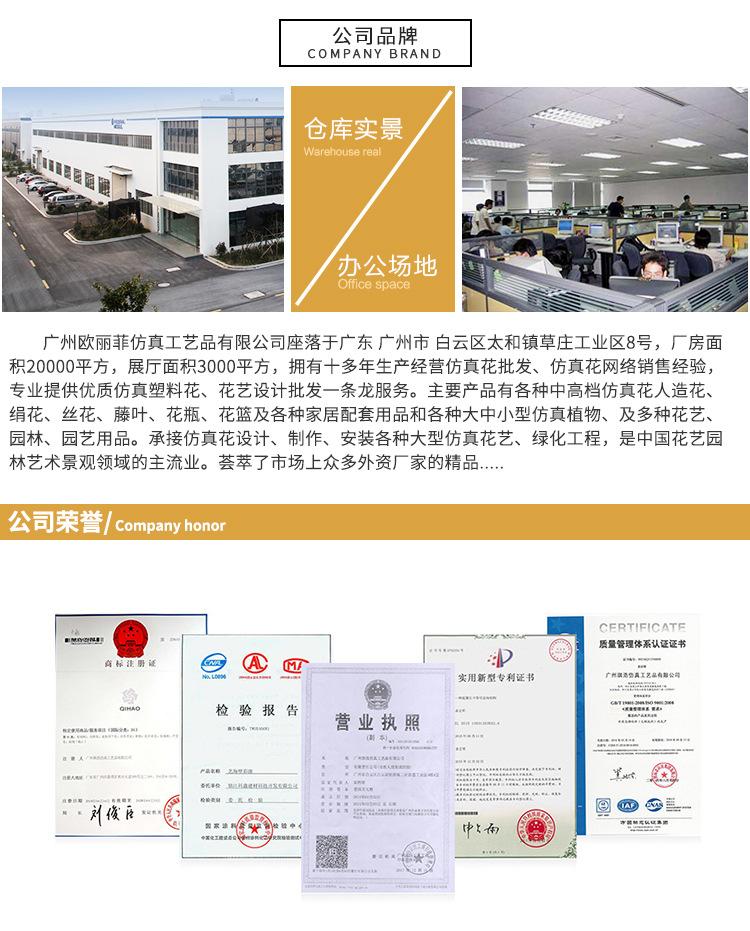 欧丽菲-分叉拱门_10.jpg