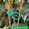 Ferramentas de jardinagem com fivela fixa transfronteiriça, prático amarrador de plástico para videiras, grampo suporte para caule de videira atacado