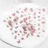 Nuevo Pegatina de Uñas Artísticas Flor Mariposa Pura Rosa Azul Flor Pequeña Mariposa Pintada a Mano Dulce Linda Pegatina de Uñas Todo Fósforo