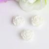 Accesorios de Joyería DIY Flores de Rosa de Resina en una Variedad de Colores Materiales para Arte de Uñas Accesorios para el Cabello Diseño Original