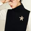 Broche de Estrella de Mar Popular Exagerado Transfronterizo, Moderno, Sencillo, Brillante, Lleno de Diamantes, Ramillete de Fiesta de Animal Estrella de Mar, Accesorios para Ropa