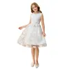 Vestido de princesa de malla bordada para niñas transfronterizo, nuevo estilo de verano, simple y lindo, vestido sin mangas de encaje para anfitriona