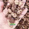 Raiz de cássia, medicina herbal chinesa, sementes de raiz de cássia, especiarias de raiz de cássia, produtos secos de raiz de cássia, pó de raiz de cássia, arroz de raiz de cássia