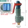 Válvula de Gas para Caldera Generador de Vapor Válvula de Alivio de Presión Fábrica de Ropa Fábrica de Prendas de Vestir Equipo de Planchado Trasero Accesorios