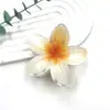 Novedad Pinza de Flor de Huevo Pinza de Pelo de Flor de Colores Retro Europea y Americana Pinza Lateral para Cabello de Mujer Pinza de Tiburón para Media Cabeza