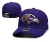 Nueva Gorra de Béisbol Bordada de la NFL para Hombres y Mujeres, Sombrero para el Sol al Aire Libre, Gorra de Moda con Visera Curva Ajustable para Protección Solar