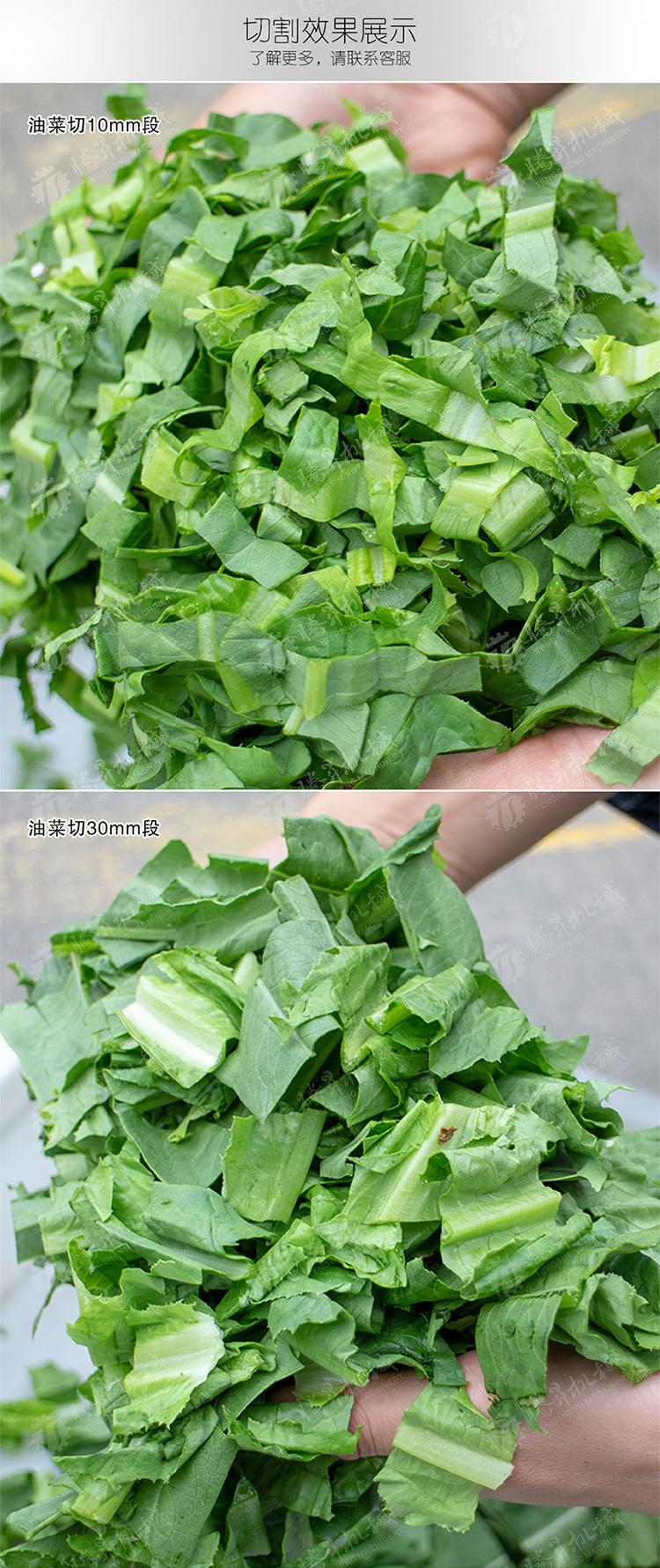 TS-Q115B-单头切菜机-详情页(750px)_03.j