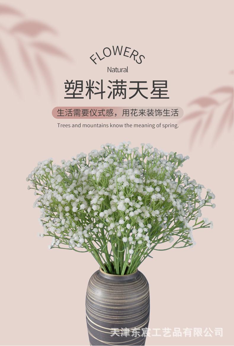 详情_01.jpg