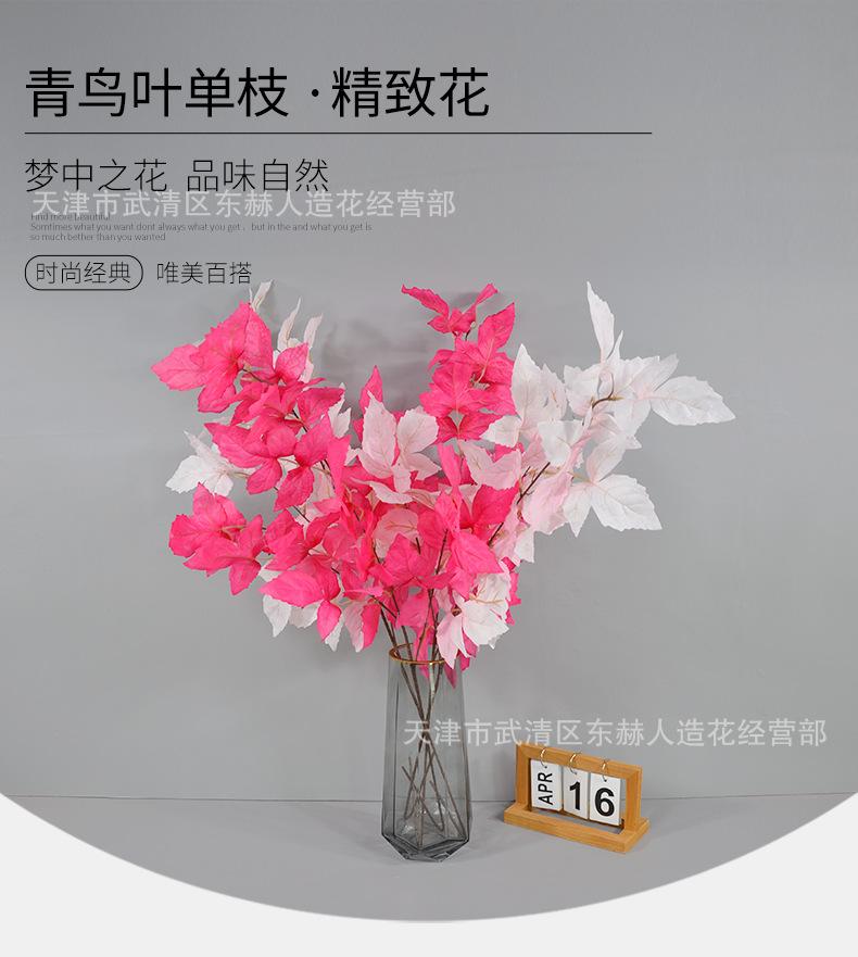 详情_05.png