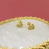 Aço Titânio Gato Cruz Cabacinha Padrão Geométrico e Outros Brincos Simples Versáteis Coração Diamante Brincos Personalizados