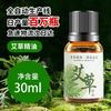 Óleo Essencial de Gengibre Forte para Corpo 30ml Óleo Essencial de Artemísia para Massagem Homens e Mulheres Massagem nos Ombros e Pescoço Fábrica Outlet de Óleo Essencial