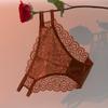 Renda Francesa Bordada Transparente Vazada de Luxo Leve Roupa Íntima Tentação para Mulheres Cueca Sexy de Cintura Baixa Pura Luxúria para Mulheres