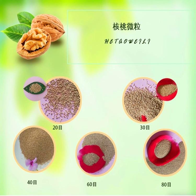 核桃粒子0256
