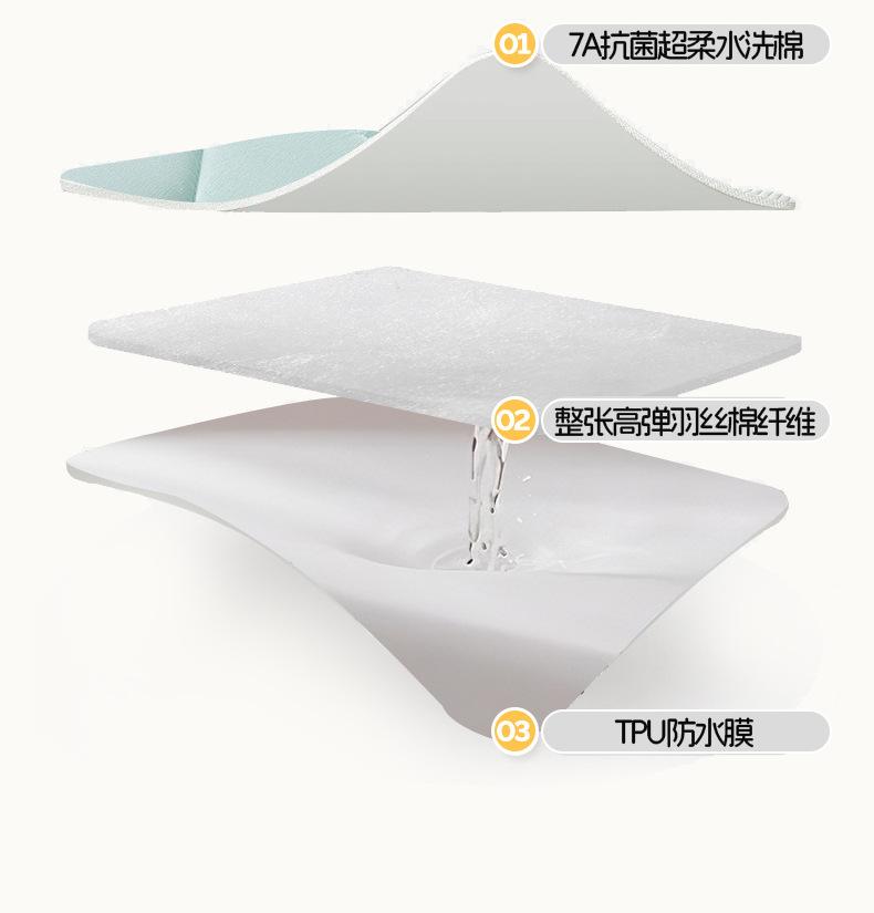 幸运草-淡水蓝_23.jpg