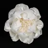 Flor de Capim Peônia para Aromaterapia em Rattan de 8cm Pode Ser Tingida e Perfurada Decoração de Casa Flor Difusora Flor Seca Simulada