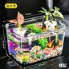 Caja de Almacenamiento de Escritorio Tanque de Peces Transparente Tanque Pequeño para Peces Dorados Paisajismo del Hogar Arreglo Floral Oficina Mini Tanque para Tortugas