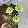 Plantas Verdes Artificiais para Casamento, Grama Aspargo Verde Estilo Floresta, Flores Artificiais Verdes, Materiais Florais Artificiais para Casamento, Série de Decoração para Salão de Casamento