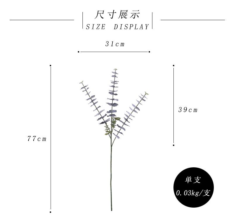 尺寸展示.jpg