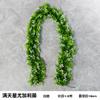Simulación Enredadera de Eucalipto Enredadera Planta Verde Hojas Tubo Techo Hojas Verdes Enredadera Decorativa de Flores Enredadera de Flores Artificiales