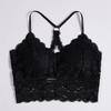 Roupa íntima popular feminina sexy de renda beleza nas costas base alça anti-exposição peito envolto push up beleza nas costas peça externa top tubinho