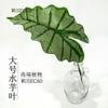 Simulación de hoja de tortuga, planta verde, fondo, decoración de pared, planta, hojas de pared, pegamento, varilla larga, tela de seda, hoja, exposición de ingeniería