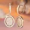 Deseo Pendientes de Diamante Ovalados Redondos de Venta Caliente de Aliexpress para Mujer Diamante Brillante Moda Lujo Accesible Elegante Accesorios para Orejas de Otoño e Invierno Venta al por Mayor