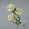 Rosas corola de 3 cabezas rama única rosas de tela de seda flores en botella para sala de estar decoración de salón de bodas diseño de fondo