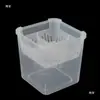 Maceta Transparente Fija Hidropónica Controladora de Raíces para Plantar Tulipanes, Jacinto y Lirios; Maceta Cuadrada para Hidroponía